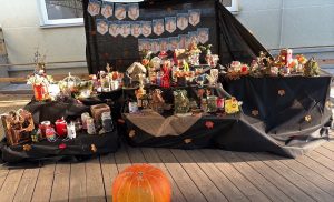 Mažųjų švieselių miestas (7)