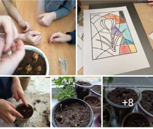 Edukacinis projektas „Stebuklas mažame grūdelyje“ (1)