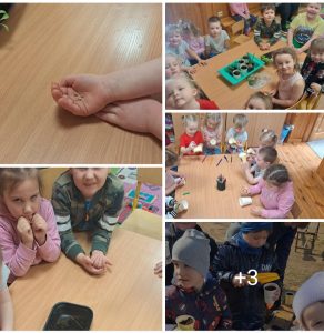 Edukacinis projektas „Stebuklas mažame grūdelyje“ (10)