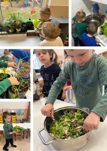 Edukacinis projektas „Stebuklas mažame grūdelyje“ (13)