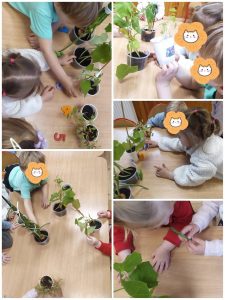 Edukacinis projektas „Stebuklas mažame grūdelyje“ (16)