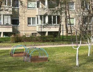 Edukacinis projektas „Stebuklas mažame grūdelyje“ (18)