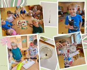 Edukacinis projektas „Stebuklas mažame grūdelyje“ (2)