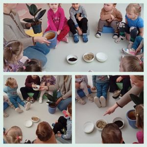 Edukacinis projektas „Stebuklas mažame grūdelyje“ (27)