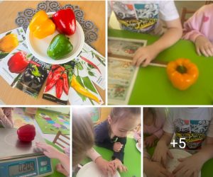 Edukacinis projektas „Stebuklas mažame grūdelyje“ (3)