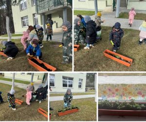 Edukacinis projektas „Stebuklas mažame grūdelyje“ (4)