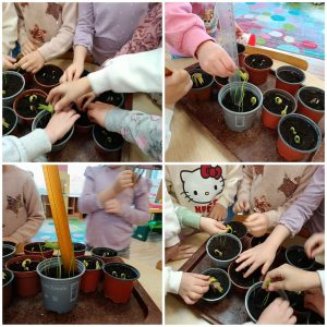 Edukacinis projektas „Stebuklas mažame grūdelyje“ (5)