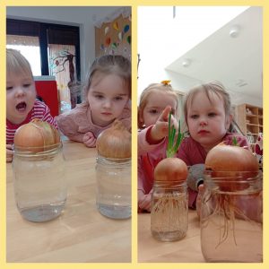 Edukacinis projektas „Stebuklas mažame grūdelyje“ (50)