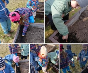 Edukacinis projektas „Stebuklas mažame grūdelyje“ (7)