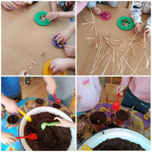 Edukacinis projektas „Stebuklas mažame grūdelyje“ (9)